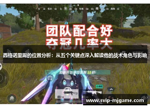 西格诺里踢的位置分析：从五个关键点深入解读他的战术角色与影响