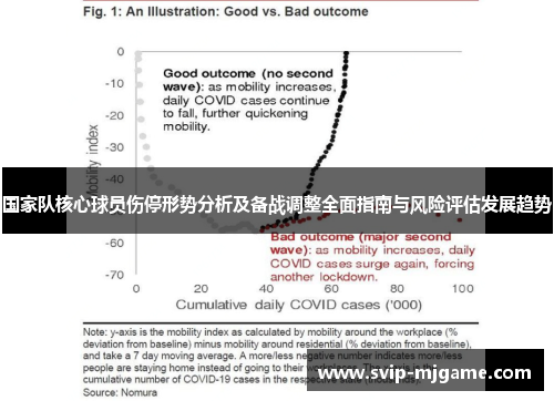 国家队核心球员伤停形势分析及备战调整全面指南与风险评估发展趋势