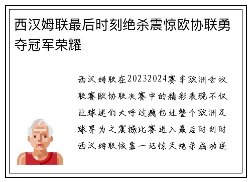 西汉姆联最后时刻绝杀震惊欧协联勇夺冠军荣耀