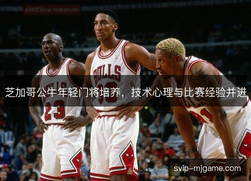 芝加哥公牛年轻门将培养，技术心理与比赛经验并进